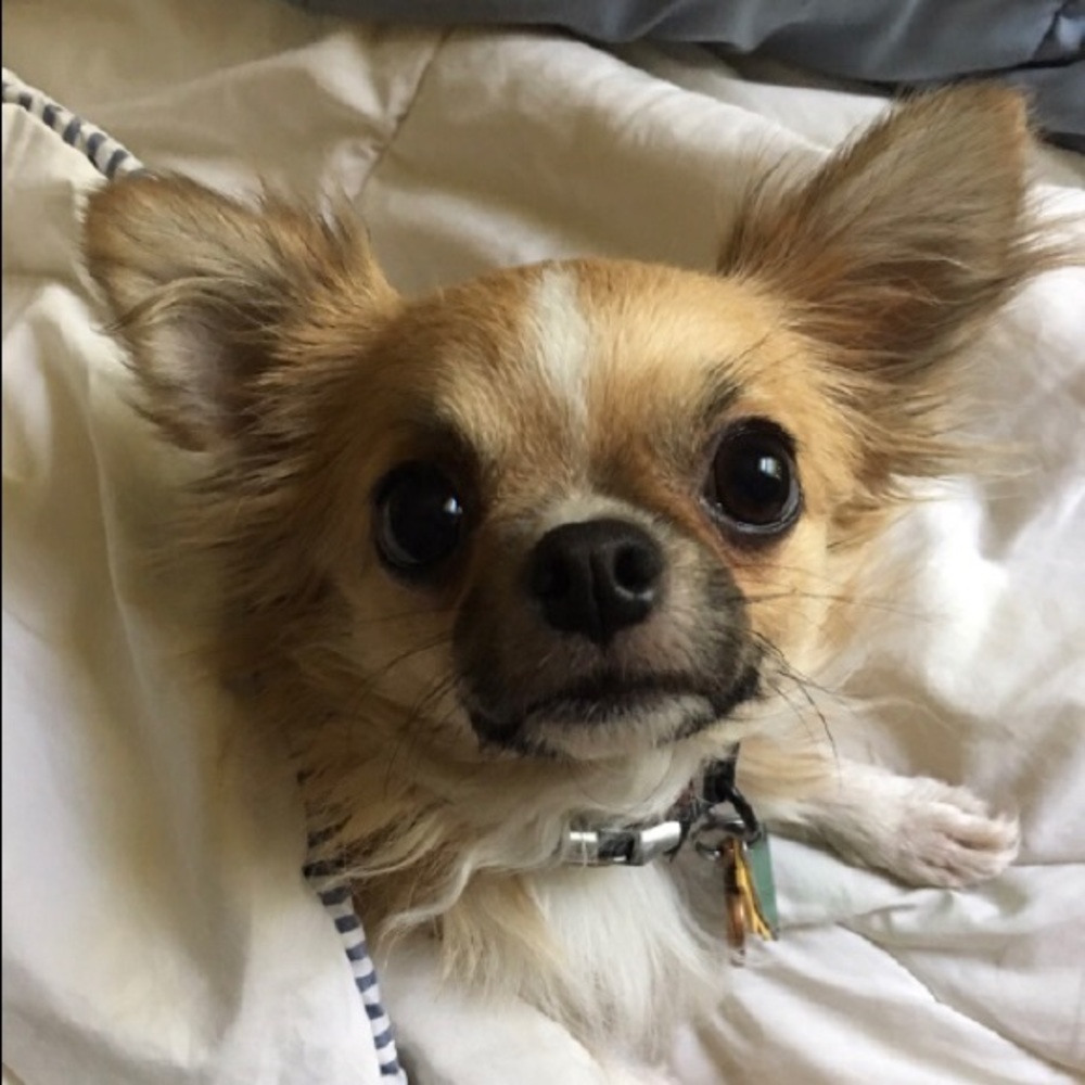Meet your Posher, Marla